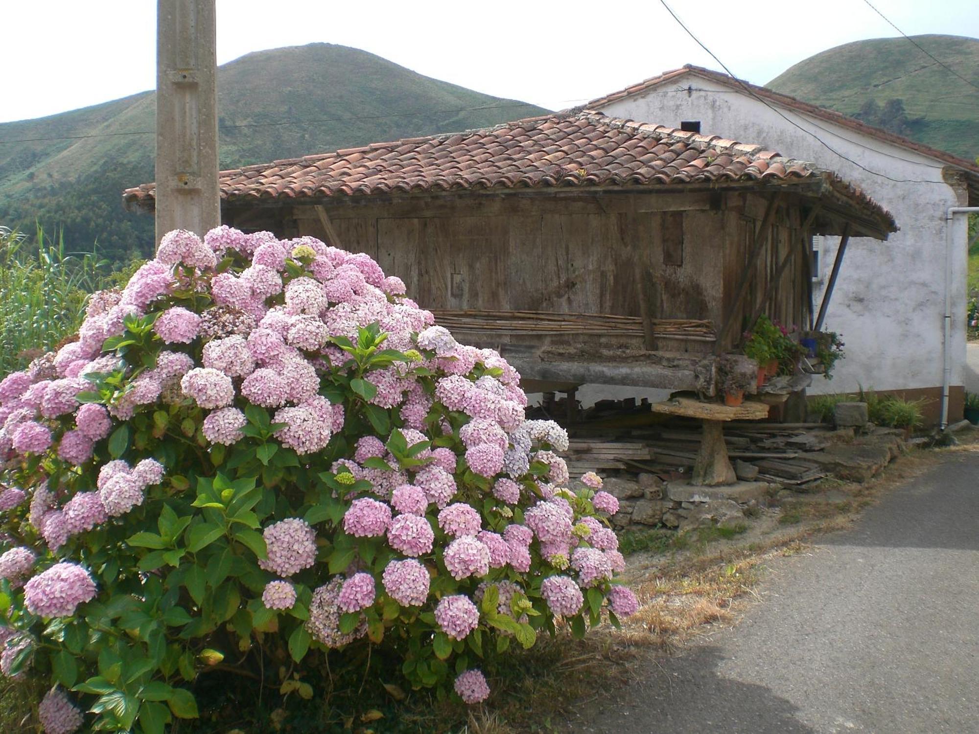 Ashram De La Peral Vendégház Illas Kültér fotó